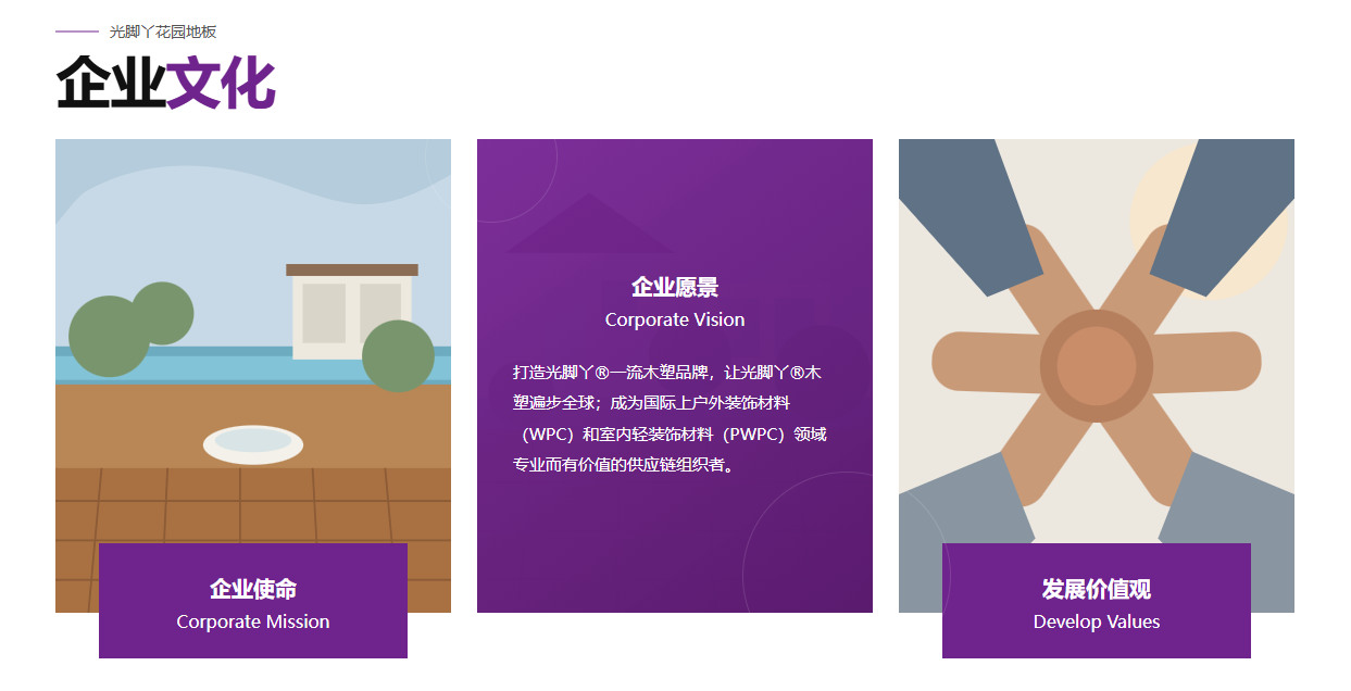 Section 06 企业文化 Hover 卡片预览图